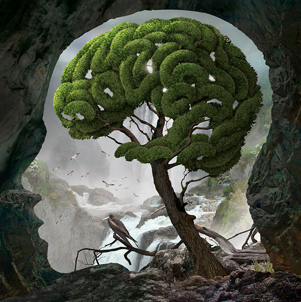 A piece from Igor Morski's Nature series. 