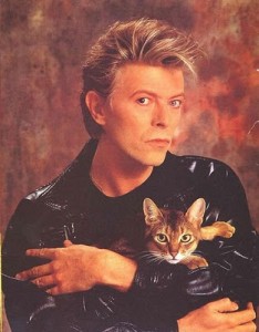 david-bowie-with-cat