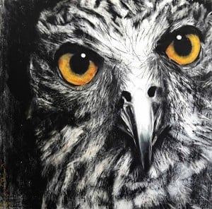 Powerful Owl by Karen Bloomfield