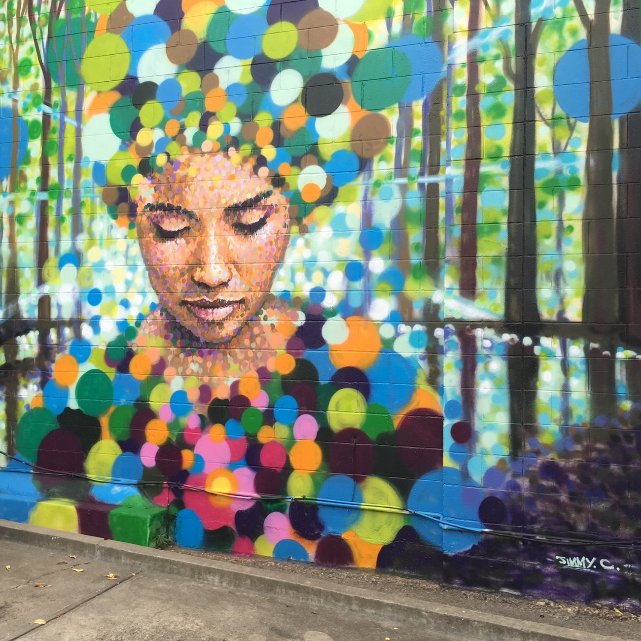Street Art In Focus - Little Rundle Street Art Project