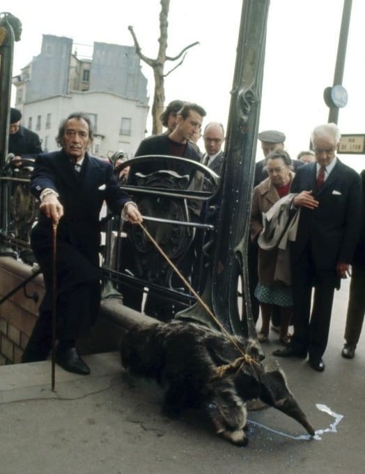 Dali with anteater