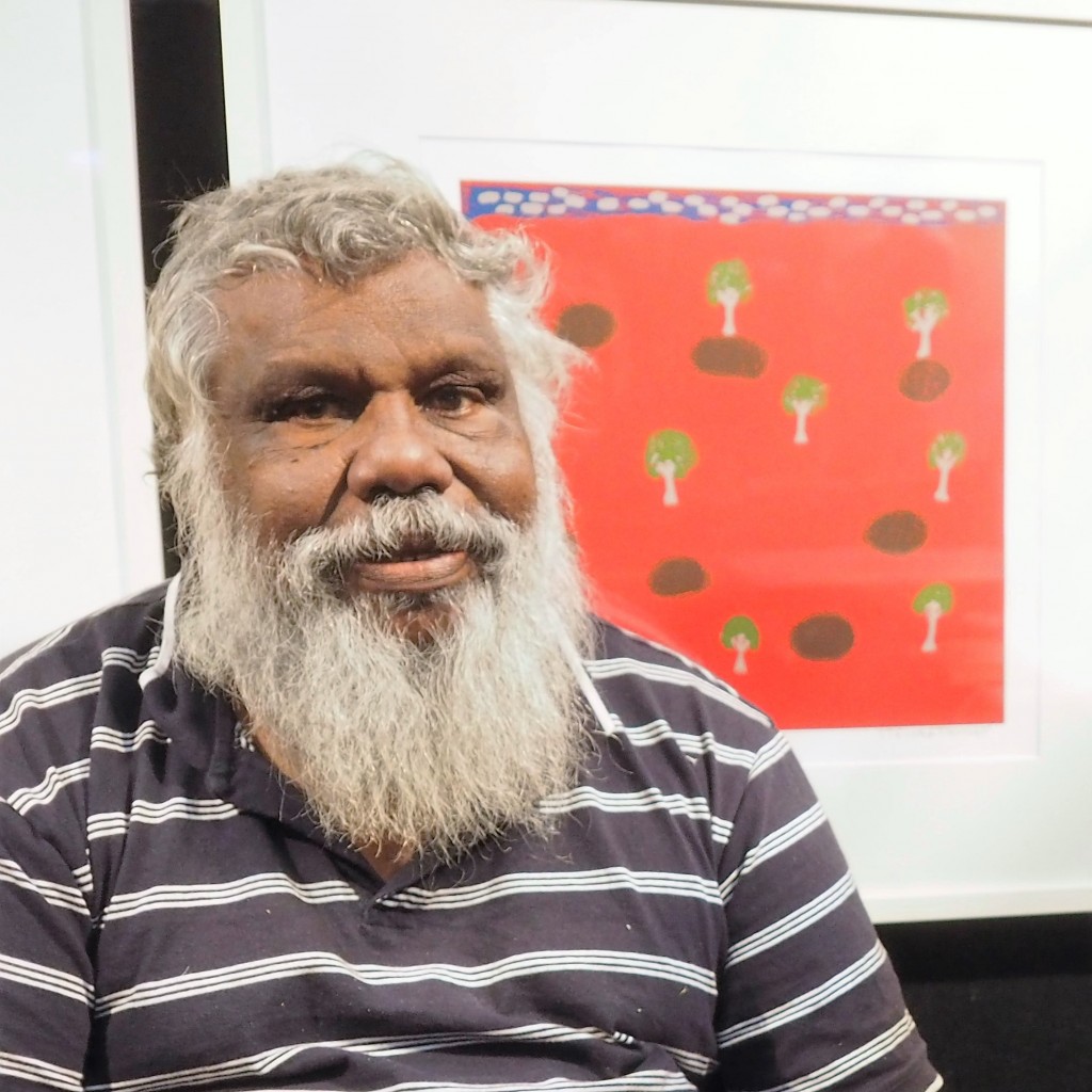 Stewart Hoosan at Darwin Aboriginal Art Fair