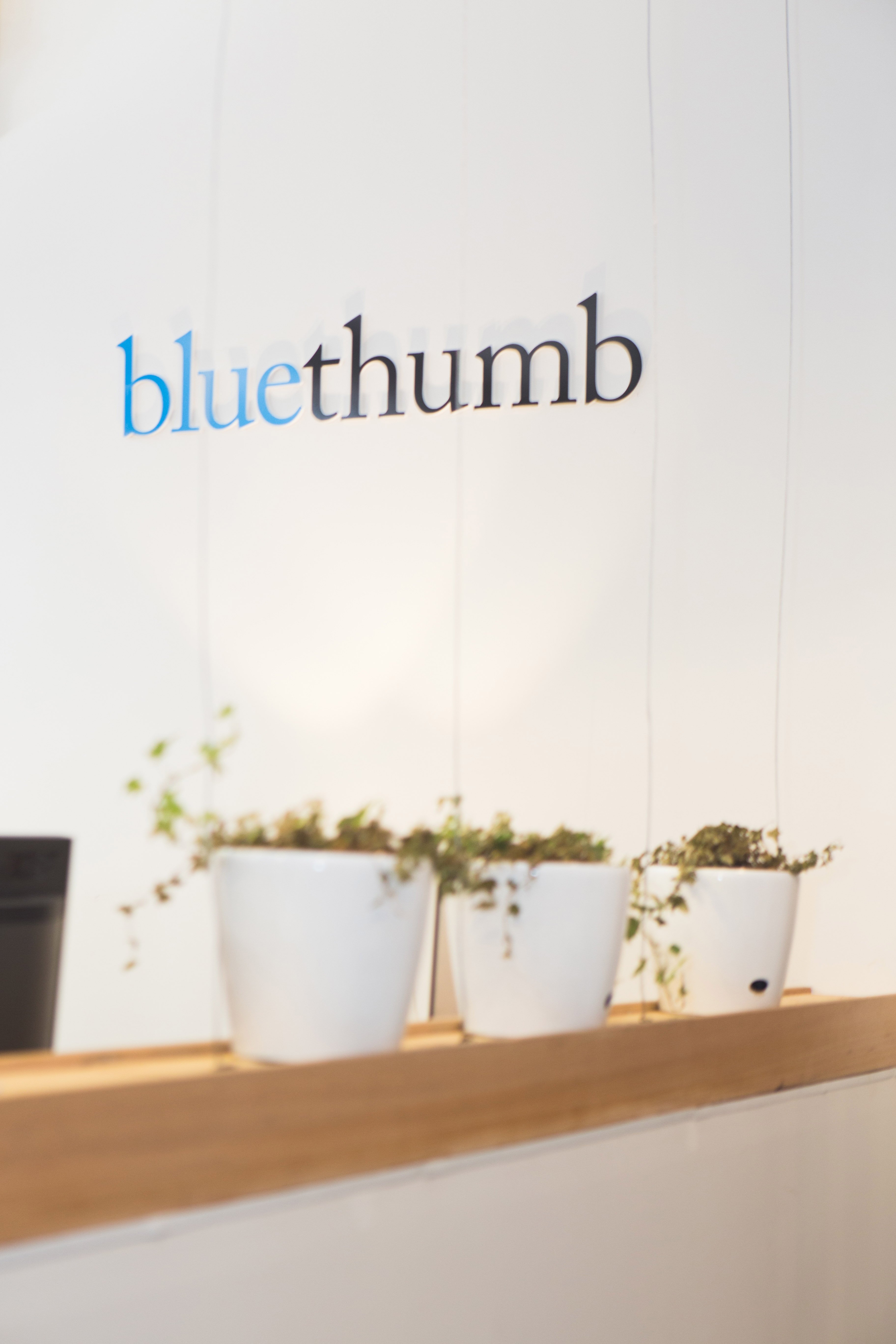 bluethumb HQ - our new office in Collingwood