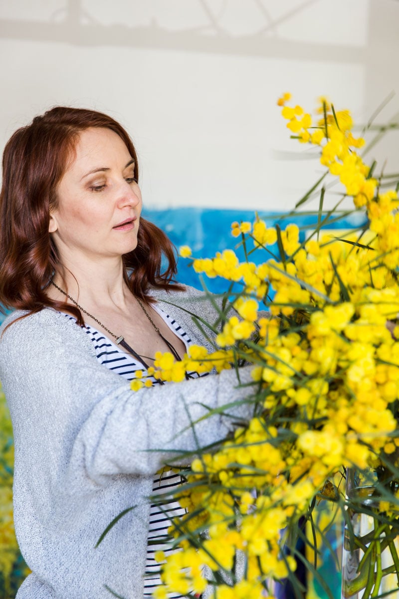 artist putting yellow wattle flowers into a vase