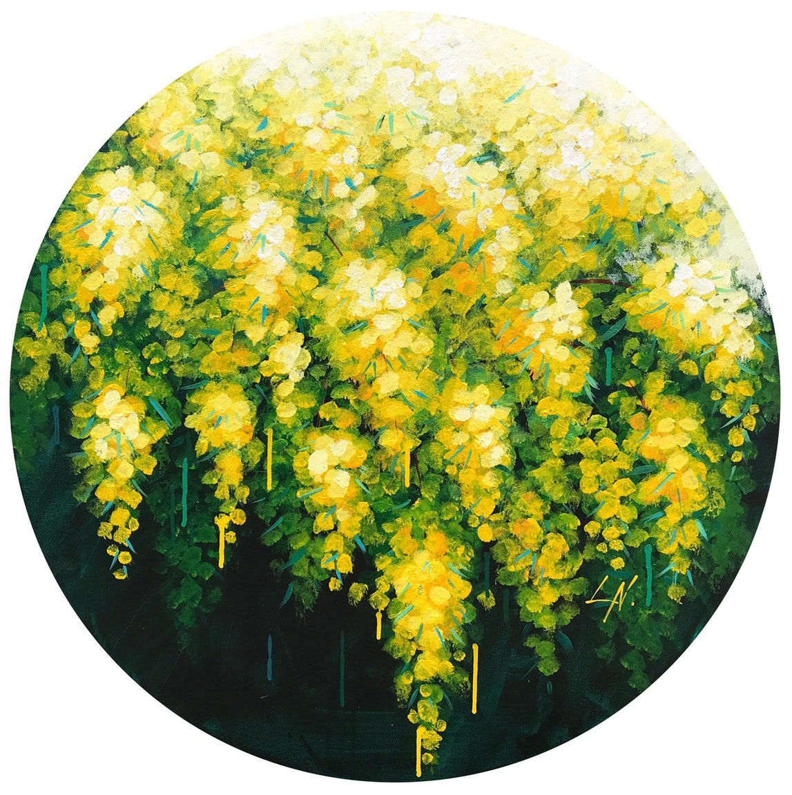 circular painting of yellow wattle flowers