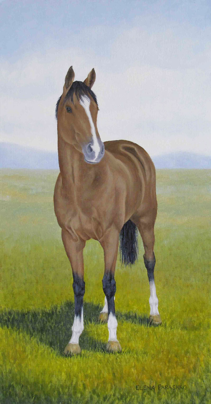 Born To Run by Elena Parashko. Original horse art on Bluethumb