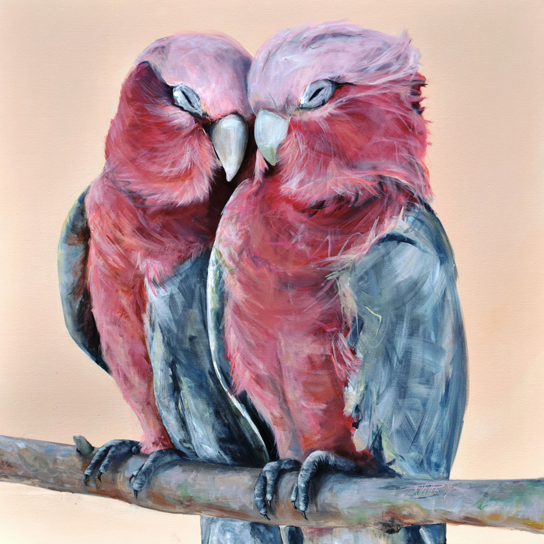 Galah Lovers by Rebecca Hill. Original paintings for sale on Bluethumb, the home of Australian art.