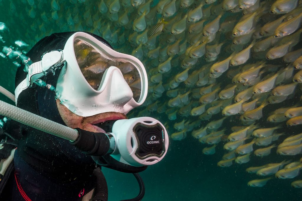 Matty Smith, underwater photographer on Bluethumb