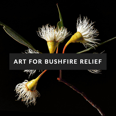 art for bushfire relief curation