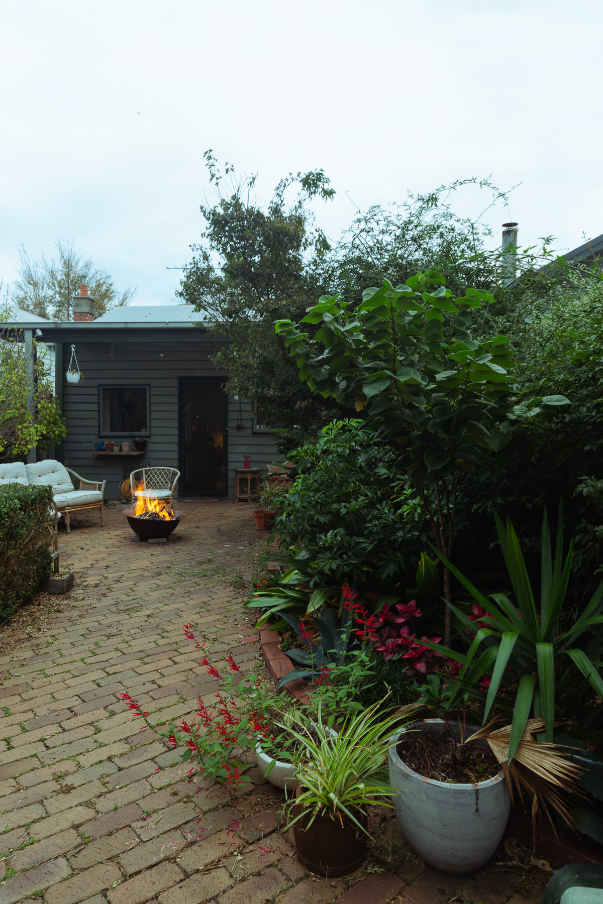 Leafy backyard with firepit and small cottage