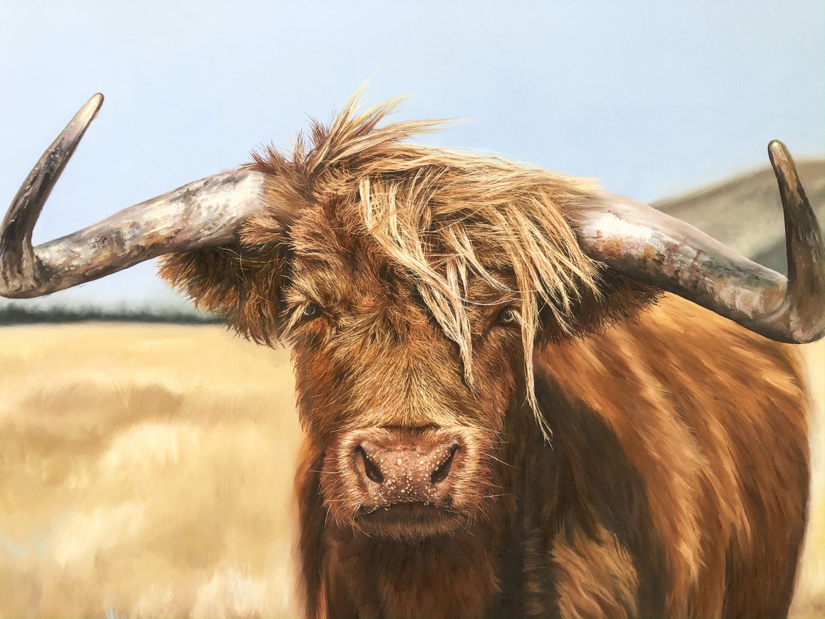 'Murphey the Highland Cow' (print) by Brittany Dixon. A realistic animal portrait of a cow. Art.