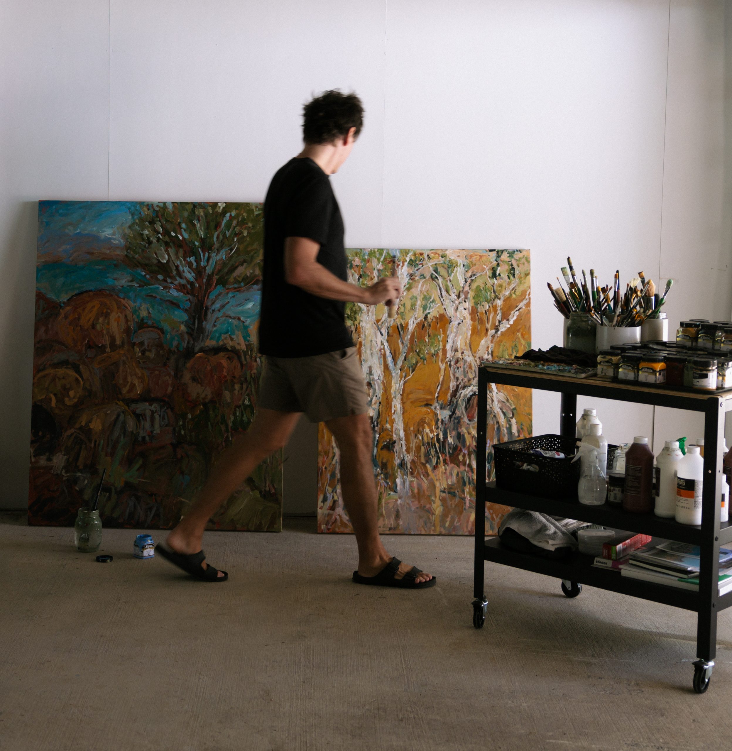 Landscape Artist Shane Hastings