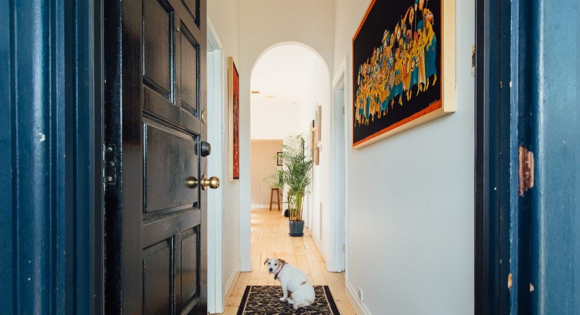 dog in hallway
