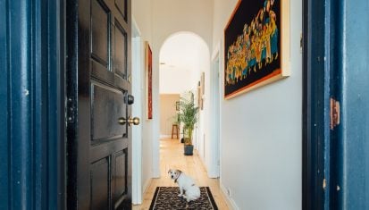 dog in hallway