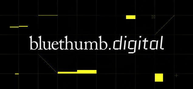 Bluethumb Digital Banner Image