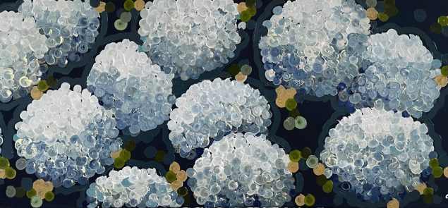 Blue night hydrangea by Sophie Lawrence.